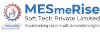Mesmerise Soft Tech Private Limited